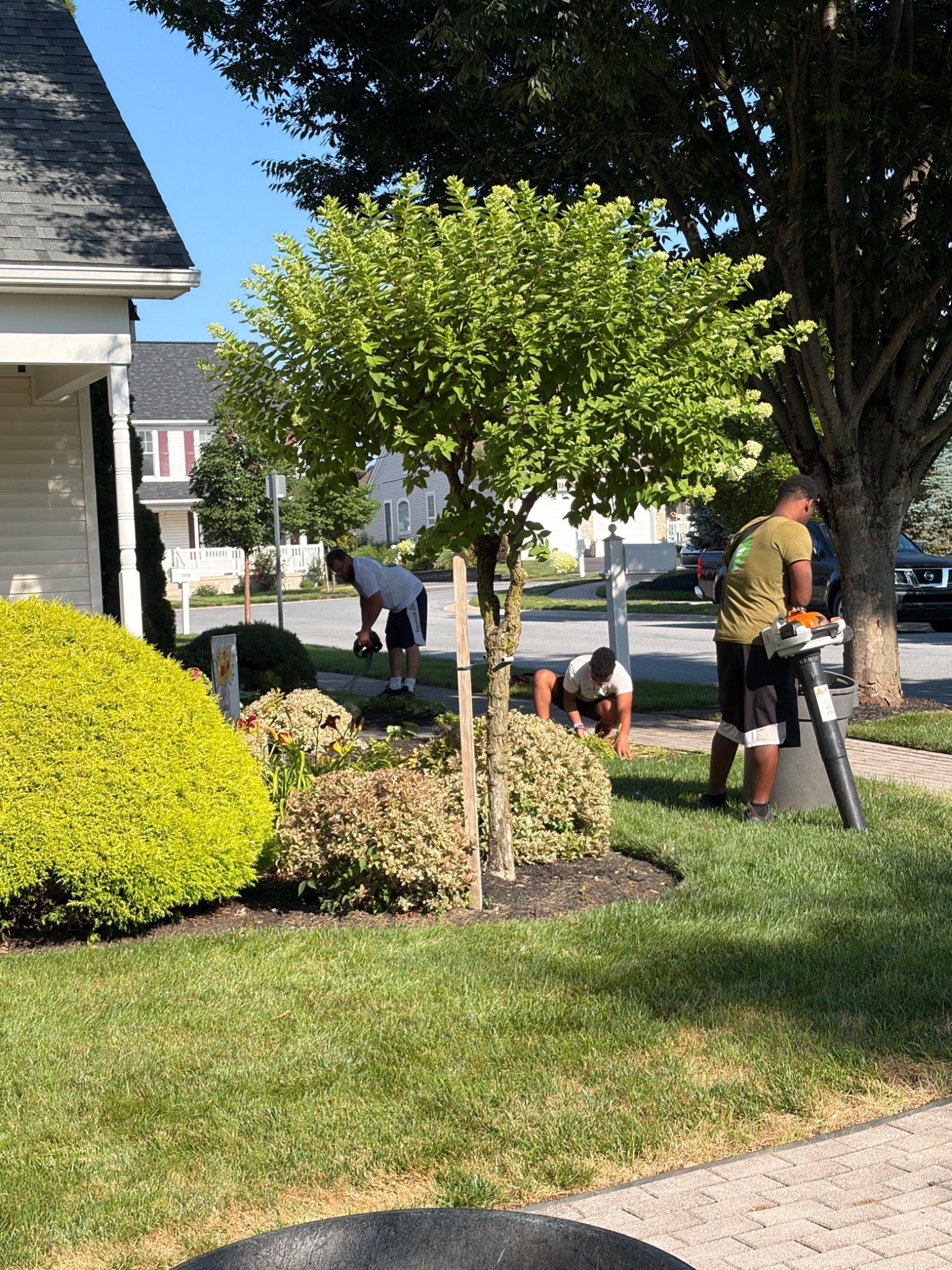 Crew trimming and clearing clippings around shrubs and a walkway